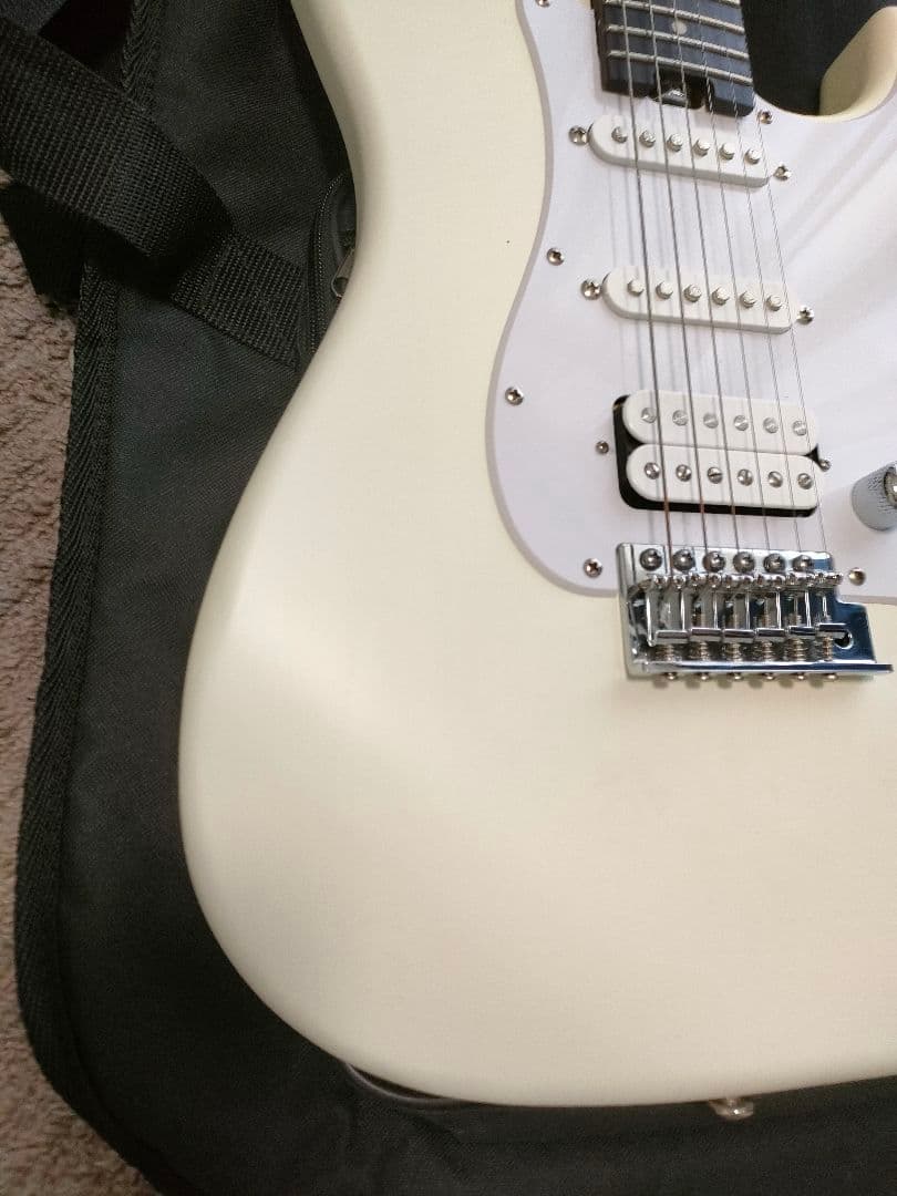 Bacchus SGS-ASH RSM　フレット90%以上 グローバルシリーズ