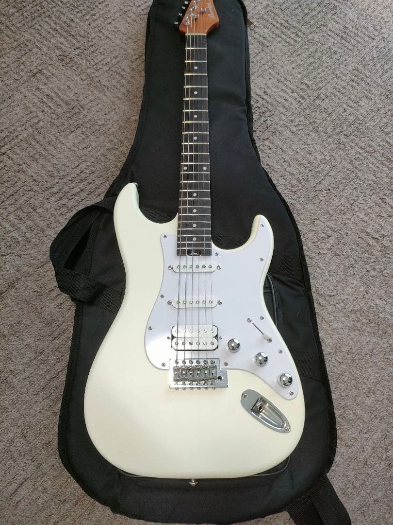 Bacchus SGS-ASH RSM　フレット90%以上 グローバルシリーズ