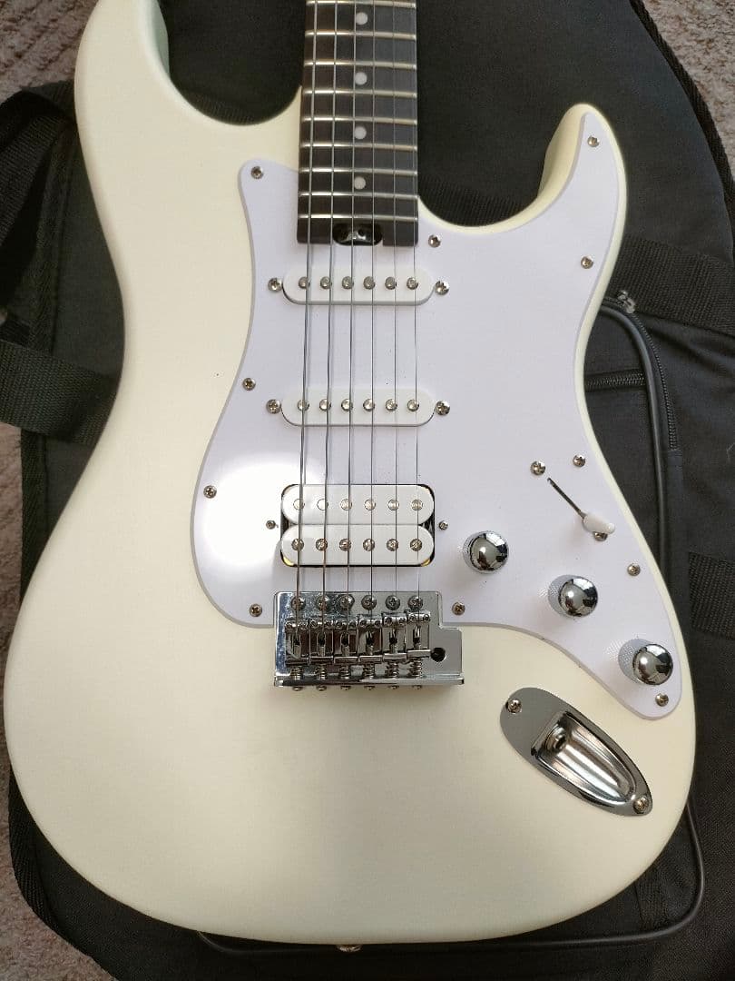 Bacchus SGS-ASH RSM　フレット90%以上 グローバルシリーズ