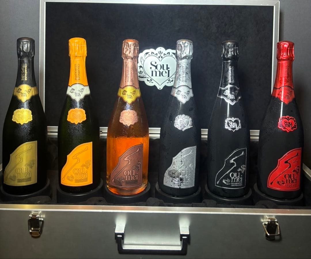 【専用】ソウメイアタッシュケース