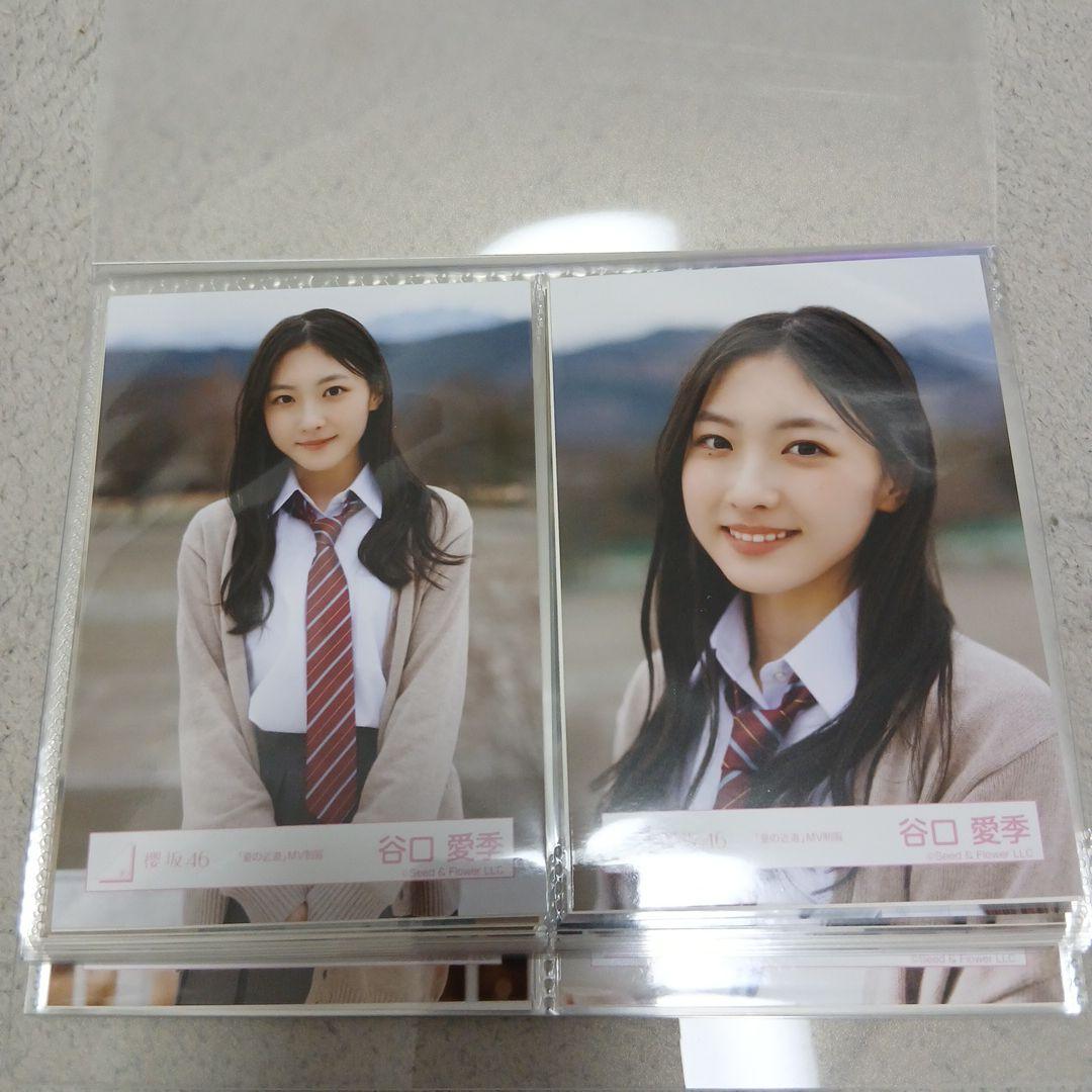 櫻坂46　三期生 谷口愛季ほか「夏の近道」 生写真４枚セット１１名分まとめ売り
