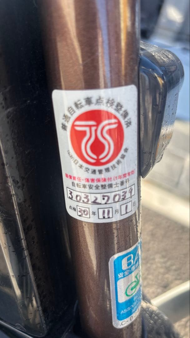 Panasonic 電動アシスト自転車 ブラウン 2バスケット