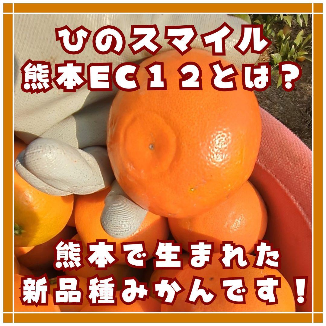 熊本みかん　熊本EC12 ひのスマイル　3キロ　バラ詰め家庭用　メルカリショップ
