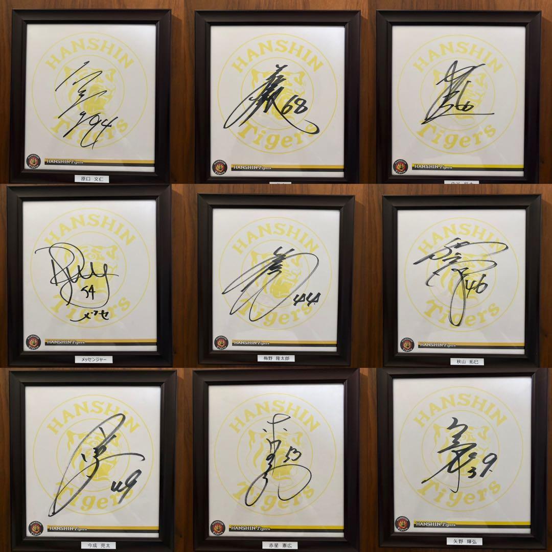 chika　 阪神タイガース選手　直筆サイン色紙23枚セット