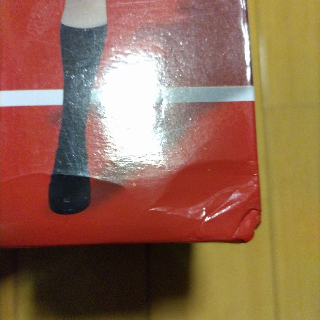 すーぱー そに子 すーぱー ぽちゃ子 フィギュア サマービーチ レースクィーン