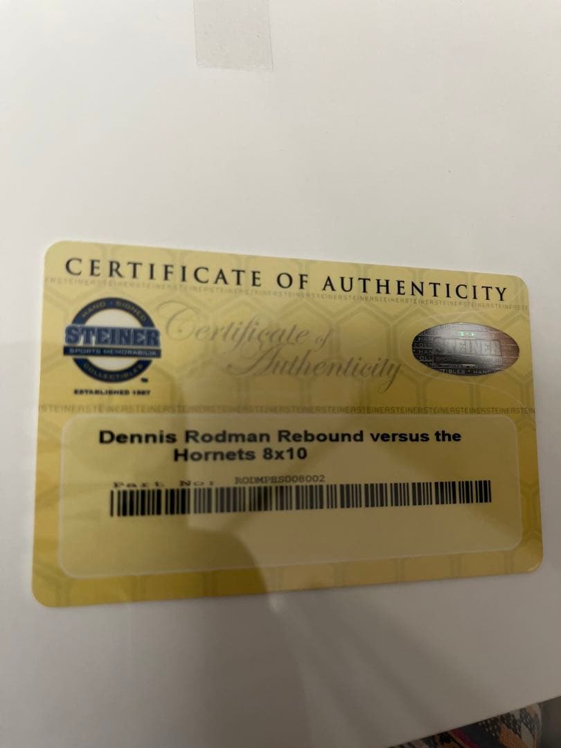デニスロッドマン 直筆サイン入りフォト