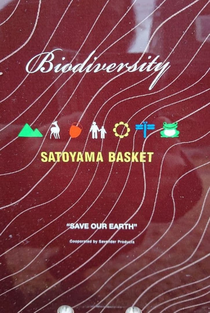 パウダーボード スノーボード mudef board バックカントリー