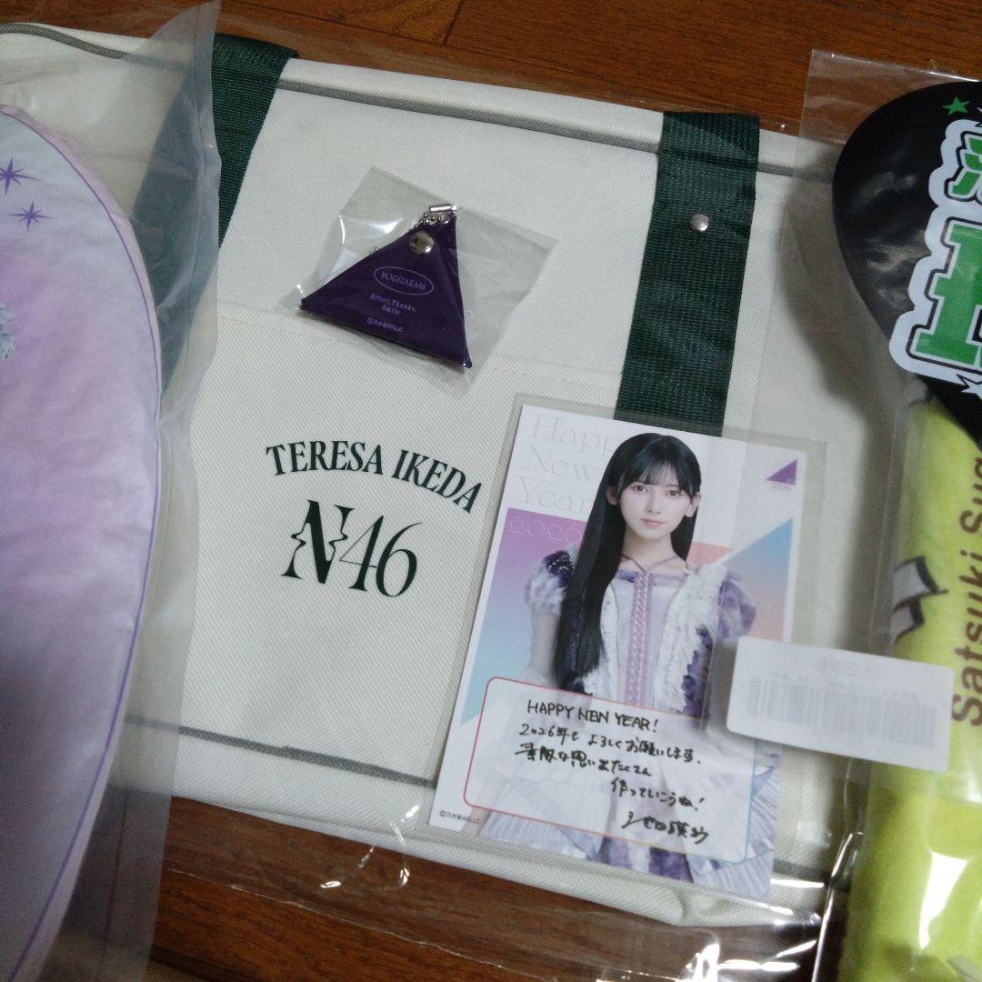乃木坂46　池田瑛紗　福袋B　グッズのみ　クッション　うちわ　バッグ