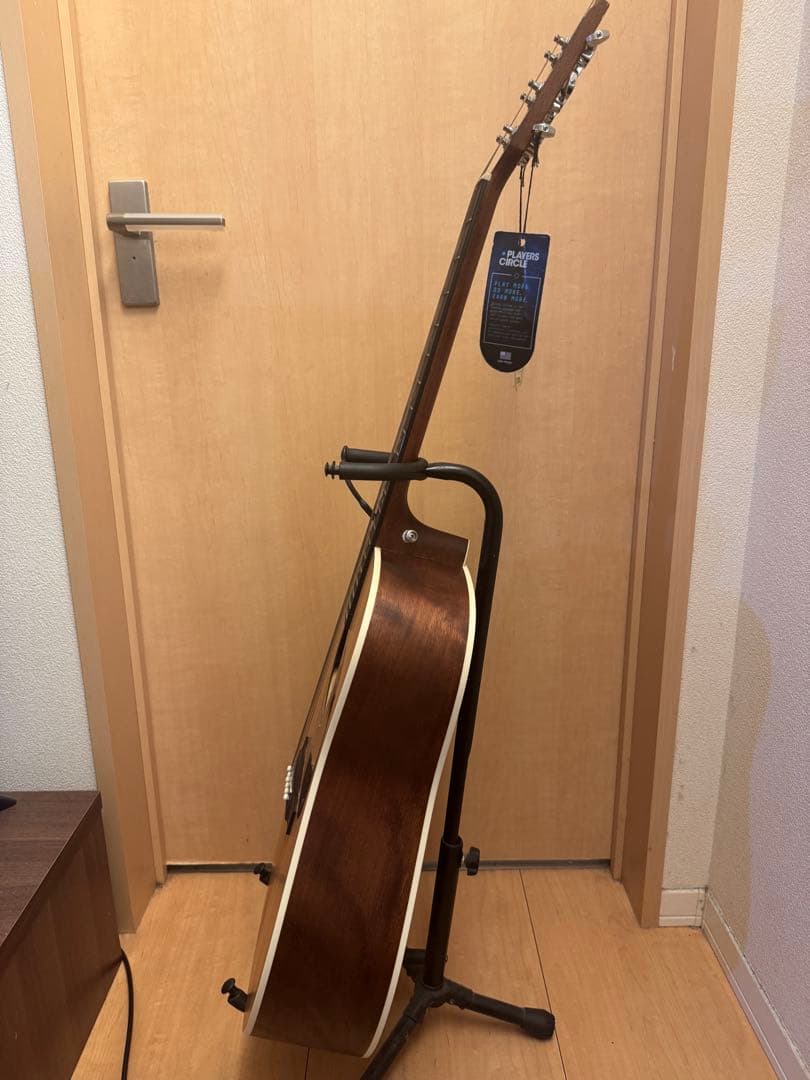 Stafford & Co エレキアコースティックギター