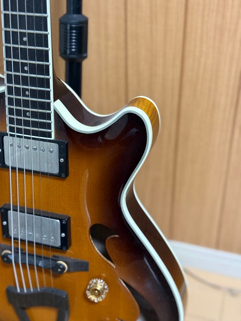 T’s guitars Arc Hollow Jazz