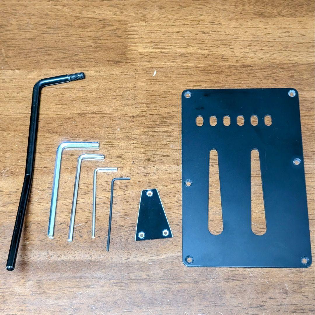 ギター FERNANDES TEJ-STD SH '19 SW  WHITE