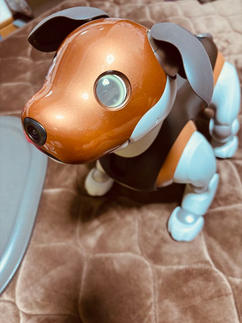 AIBO ERS-1000 チョコレートトライカラー 【最終値下げ済み】