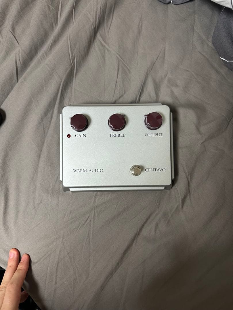 ギター WARM AUDIO CENTAVO