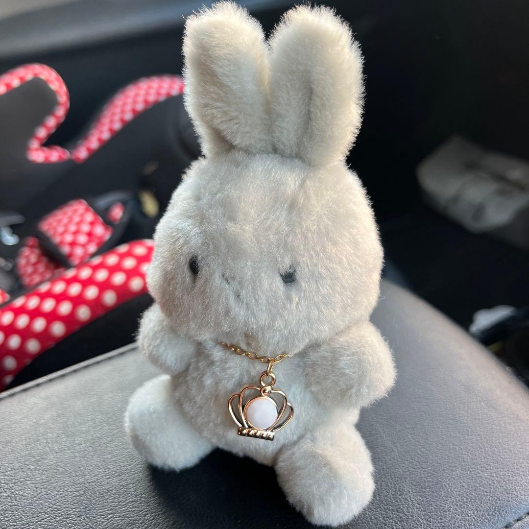 なんの変哲のないうさぎ