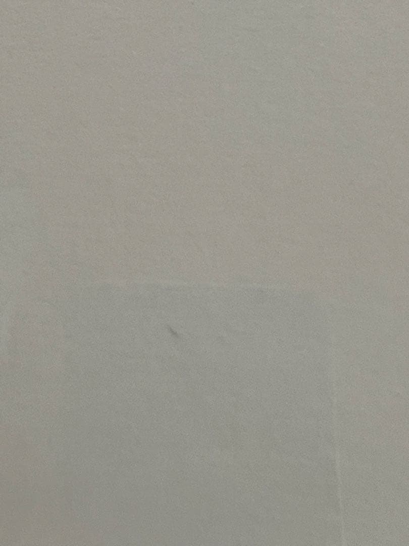 【シェード様用】ジャンルー・シーフオリジナルプリント1985年のシルヴィ・ギエム