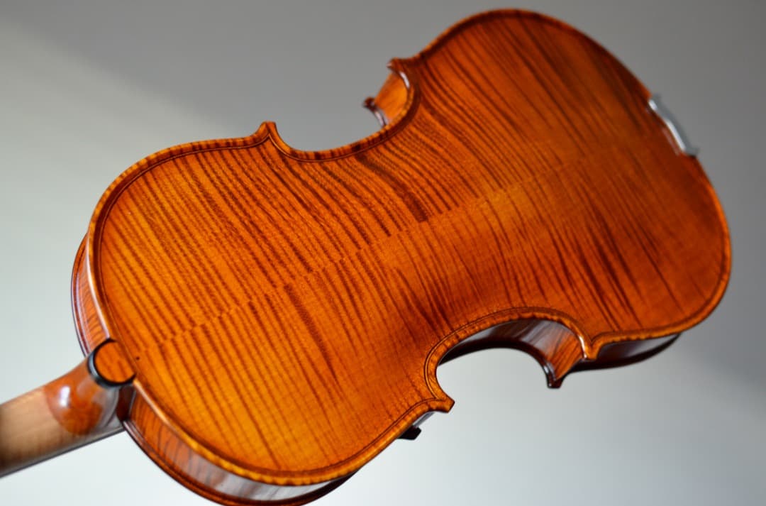 【最上位 新品】Gliga Vasile Maestro バイオリン 4/4