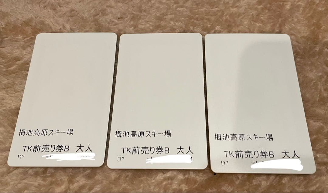 栂池高原スキー場 リフト1日券 3枚 2024-2025シーズン用