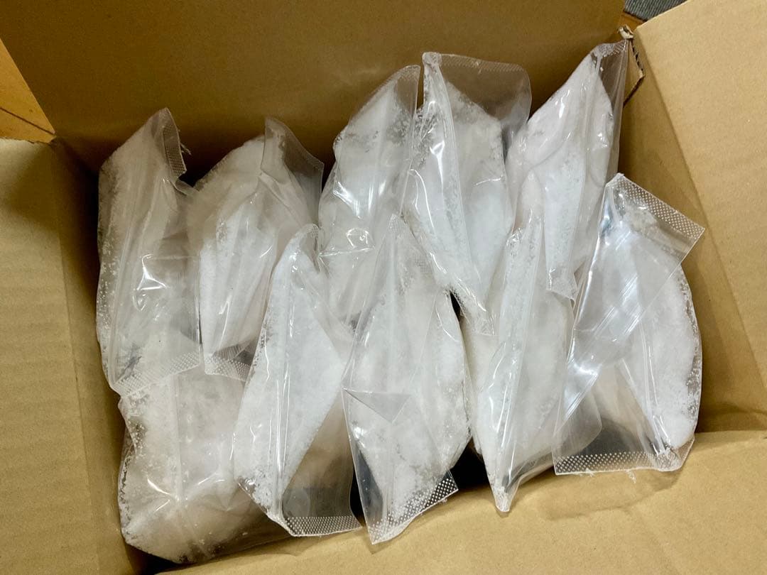 バリ島 クサンバの塩(完全天日塩)約10kg 【⚠️検品なし】ラストSALE‼️