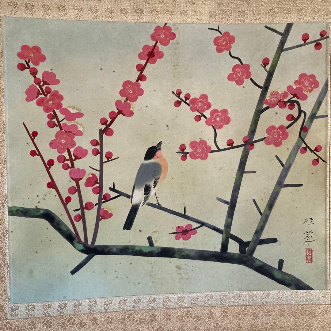 金島桂華「梅」38.4×45cm 2重箱　箱書き　紙本採色　豪華軸装　芸術院会員