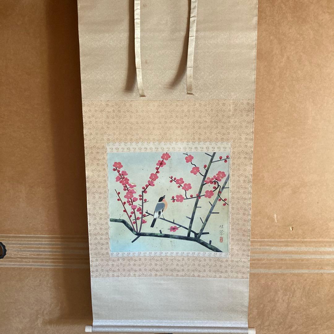 金島桂華「梅」38.4×45cm 2重箱　箱書き　紙本採色　豪華軸装　芸術院会員