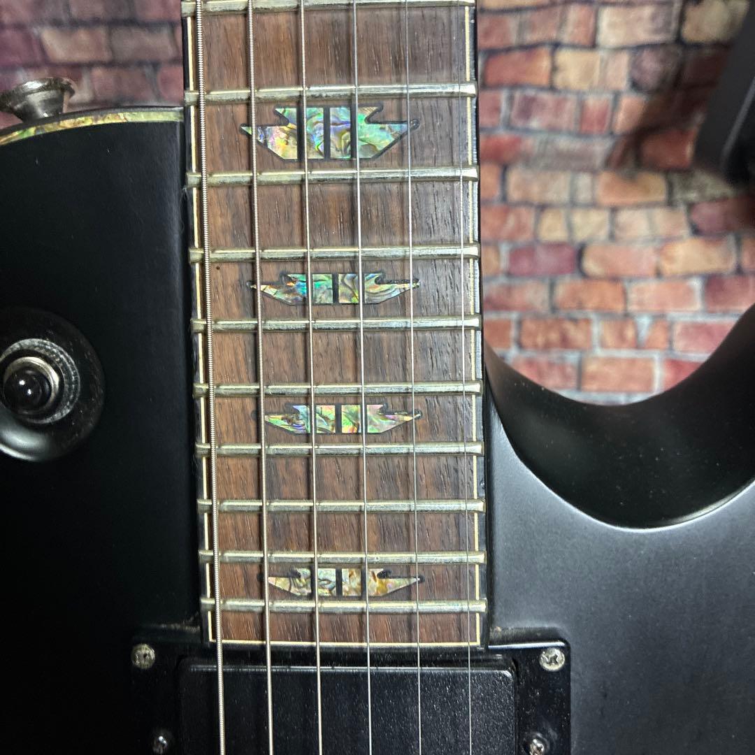 シャーベルエレキギターDS-1