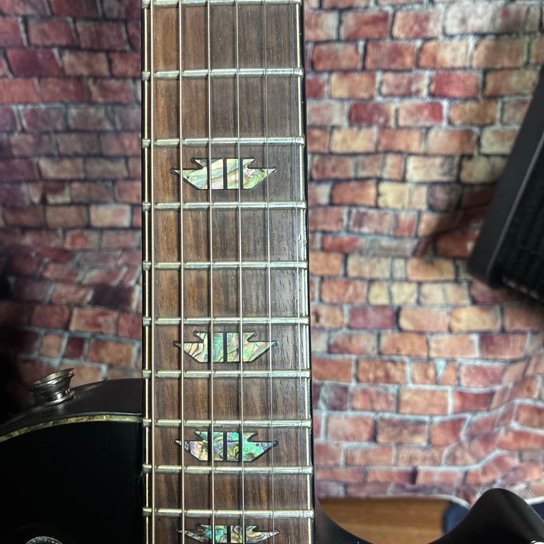 シャーベルエレキギターDS-1