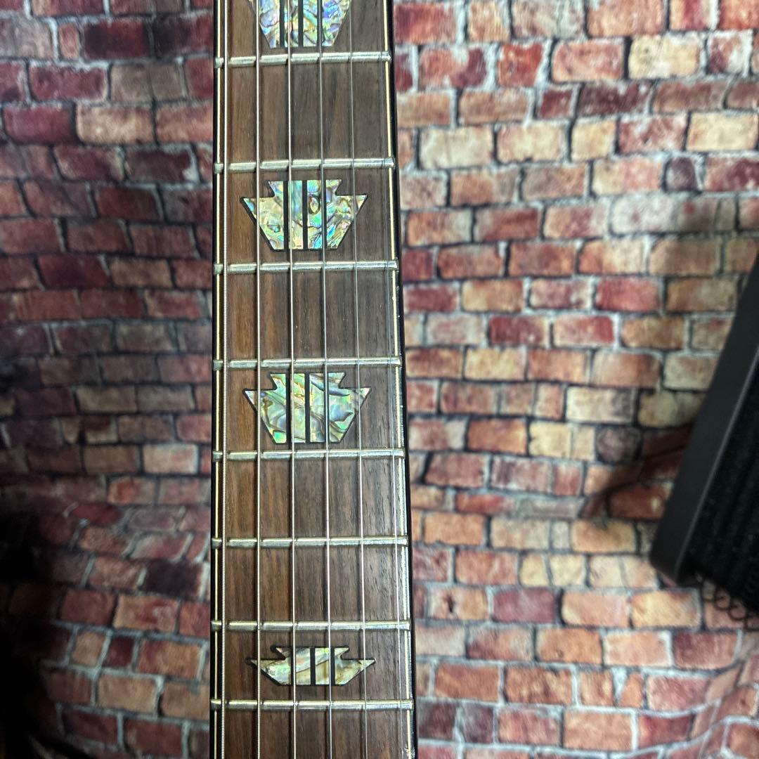 シャーベルエレキギターDS-1