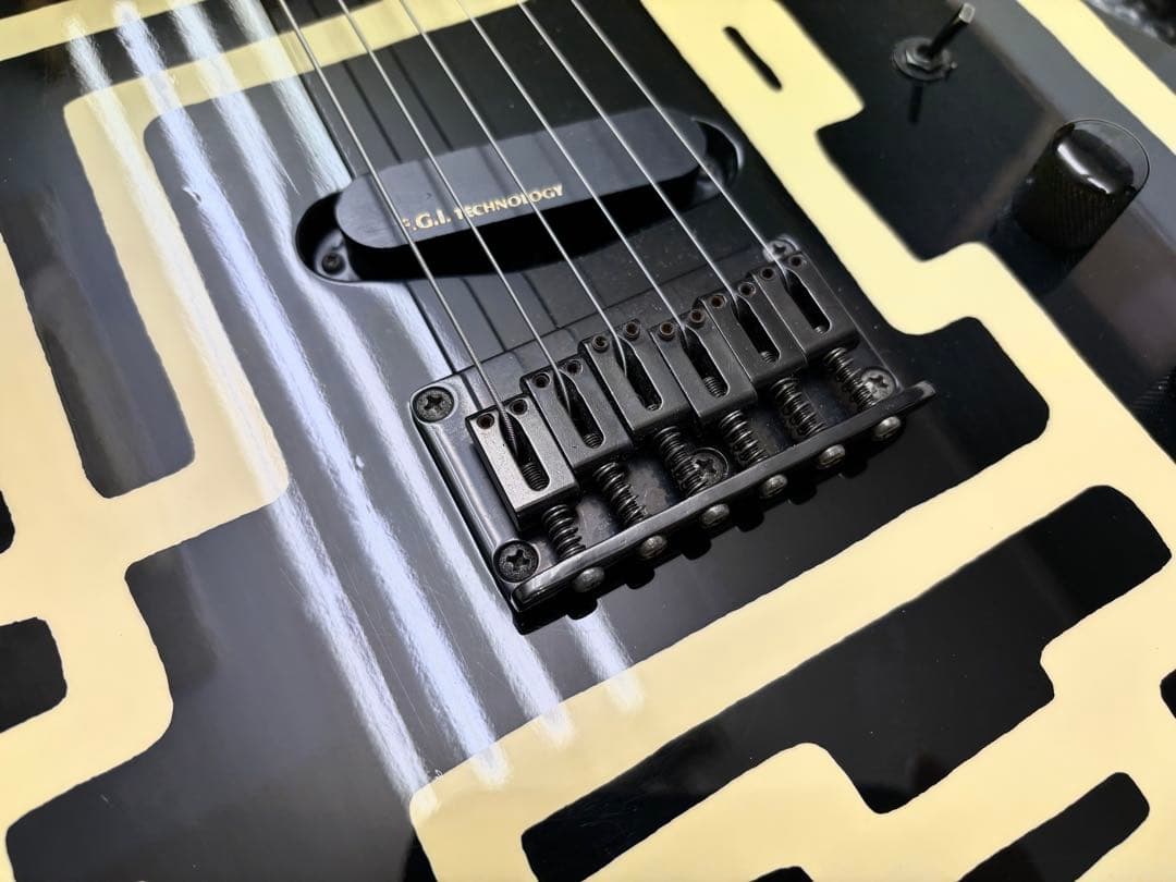 FERNANDES TE-95HT 布袋モデル ソフトケース付き