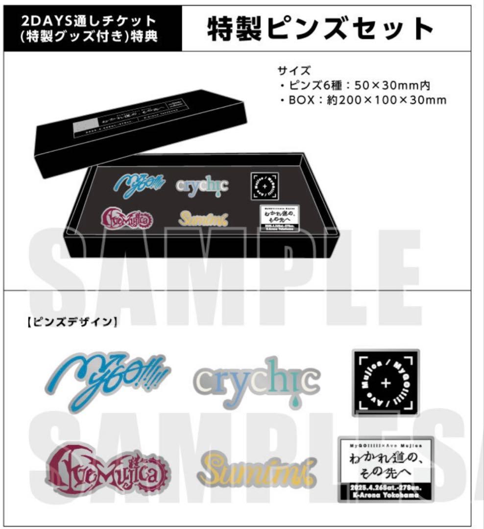 わかれ道の、その先へ　2DAYS通しチケット特典　ピンズセット