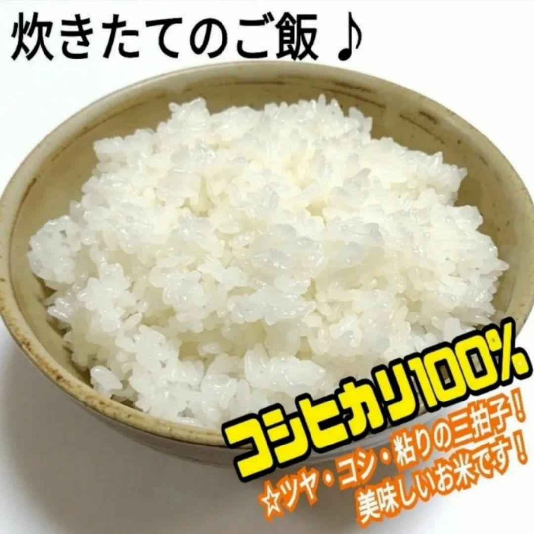 【玄米発送】令和7年産 茨城県産 コシヒカリ 玄米10Kg 10キロ ①
