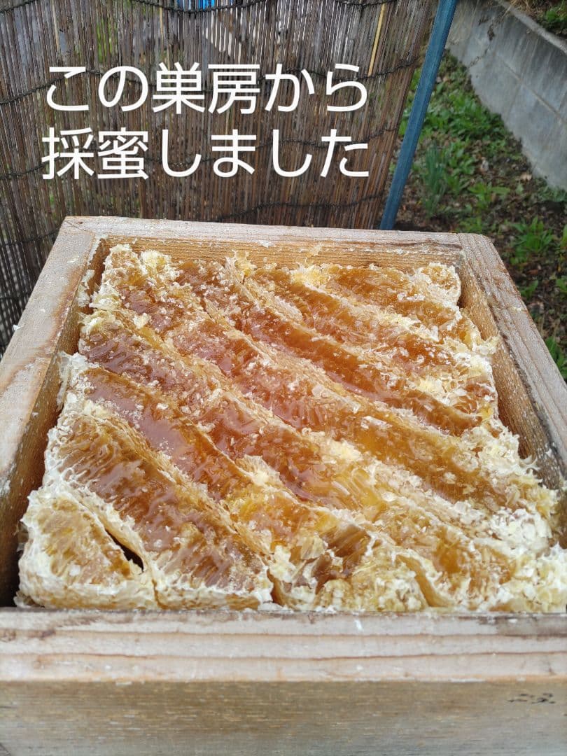 新蜜　日本みつばちの百花蜜（１年物）㊸　550ｇ✕4本（2.2㎏）