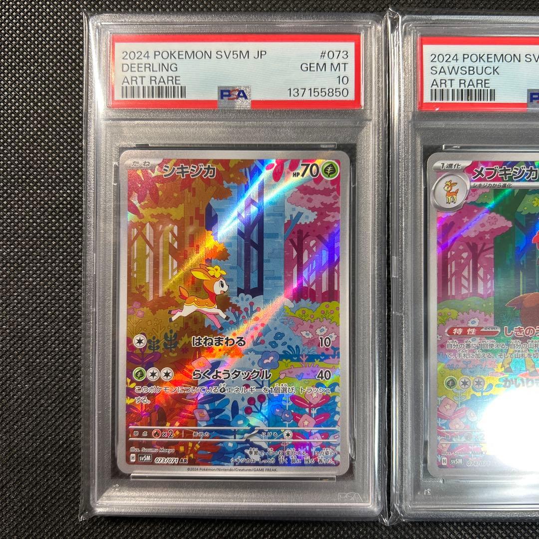 PSA10 シキジカ メブキジカ AR 連番 DEERLING SAWSBUCK