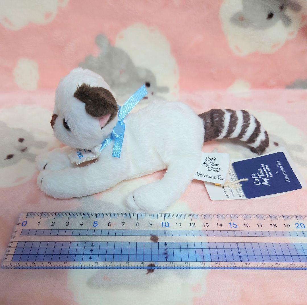 cat's issue 猫　ぬいぐるみ　AfternoonTea