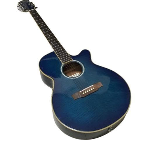 Y USED エレアコ Pro Martin custom ギター ブルー