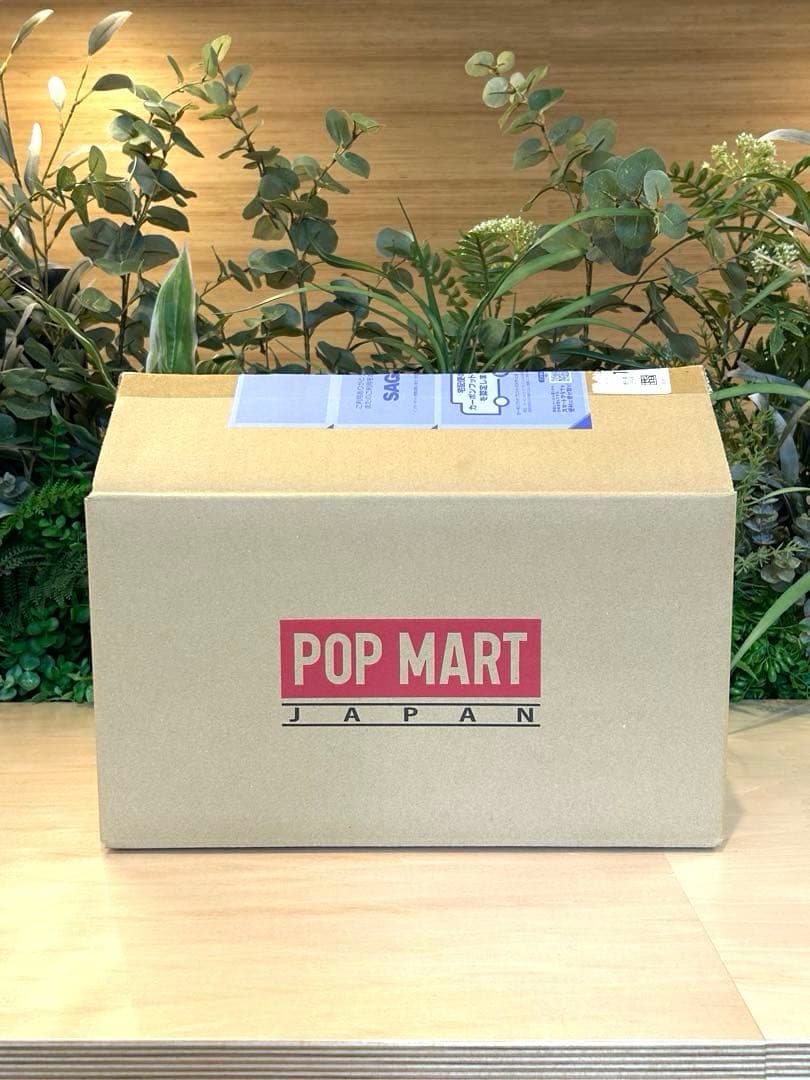 日本限定　SKULLPANDA × XG スカルパンダ