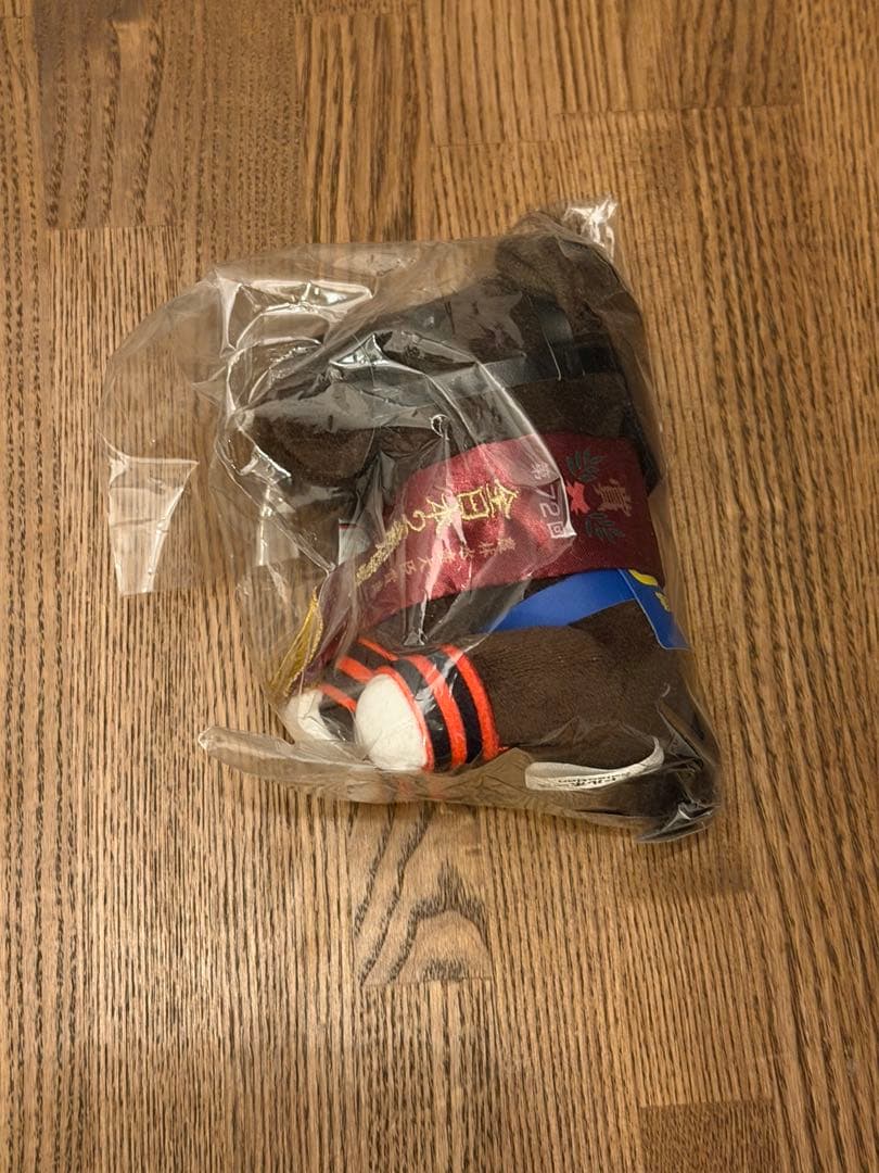 ドライスタウト　アイドルホース　全日本2歳優駿