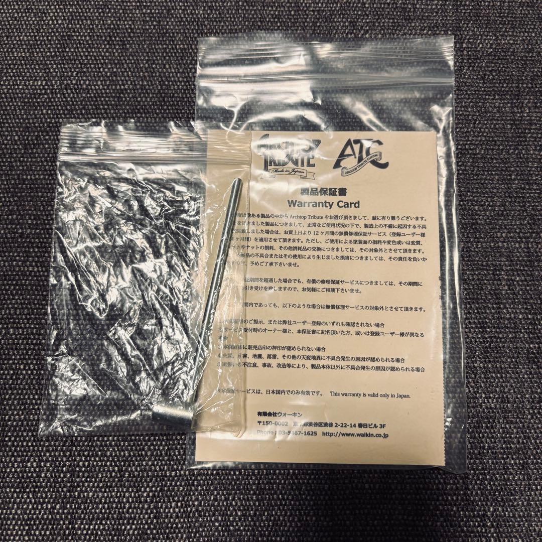 ギター Archtop Tribute AT135STP