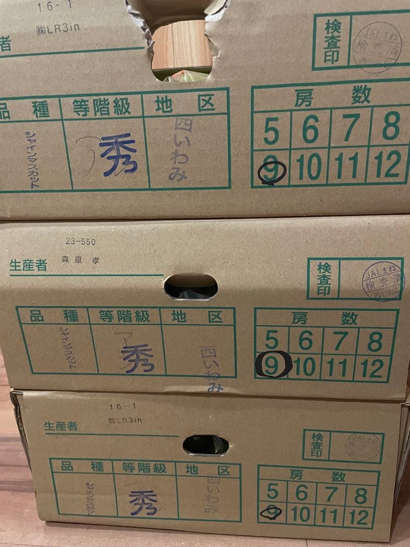 ⑩【島根県産】シャインマスカット約5キロ