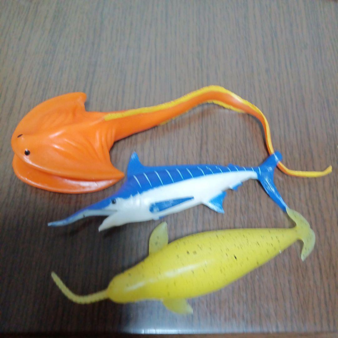 クジラアンドコー コンプリート