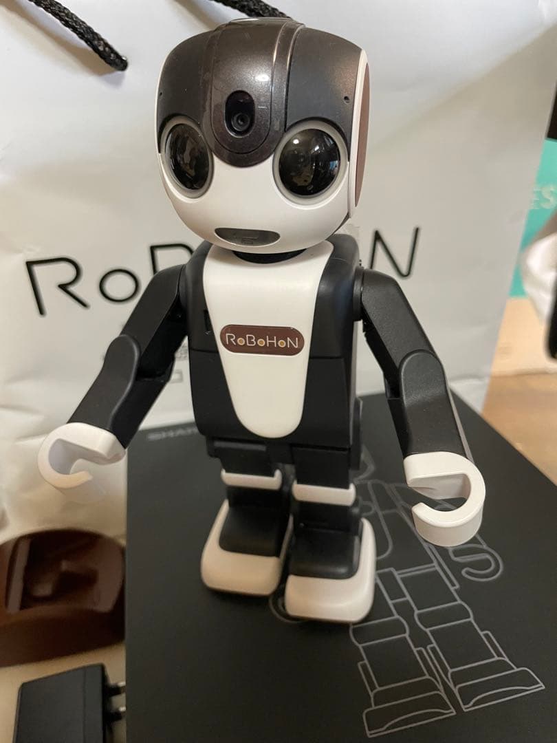 紙*船様 夏休みにどうですかぁ！ ロボホン　SHARP