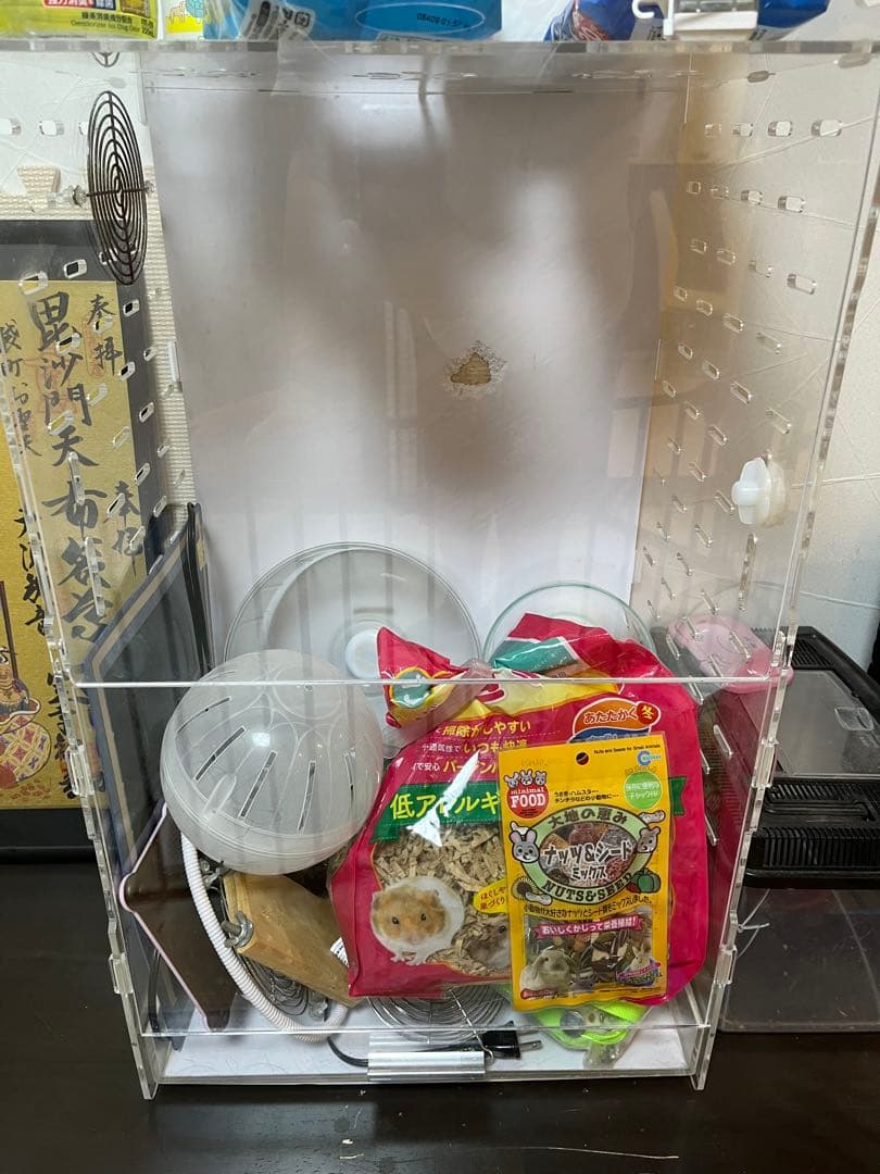 アクリル製中型飼育ケージ　穴あり