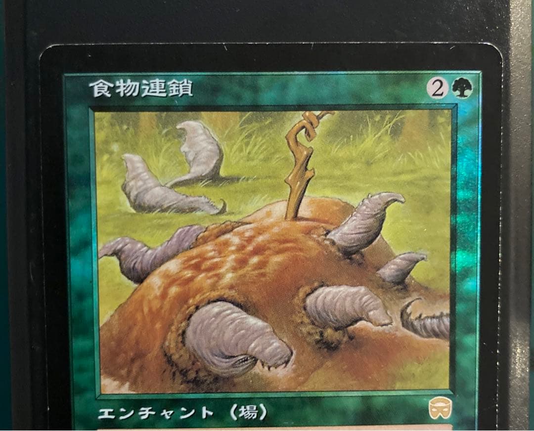 MTG 食物連鎖/Food Chain MMQ レア　旧枠　Foil