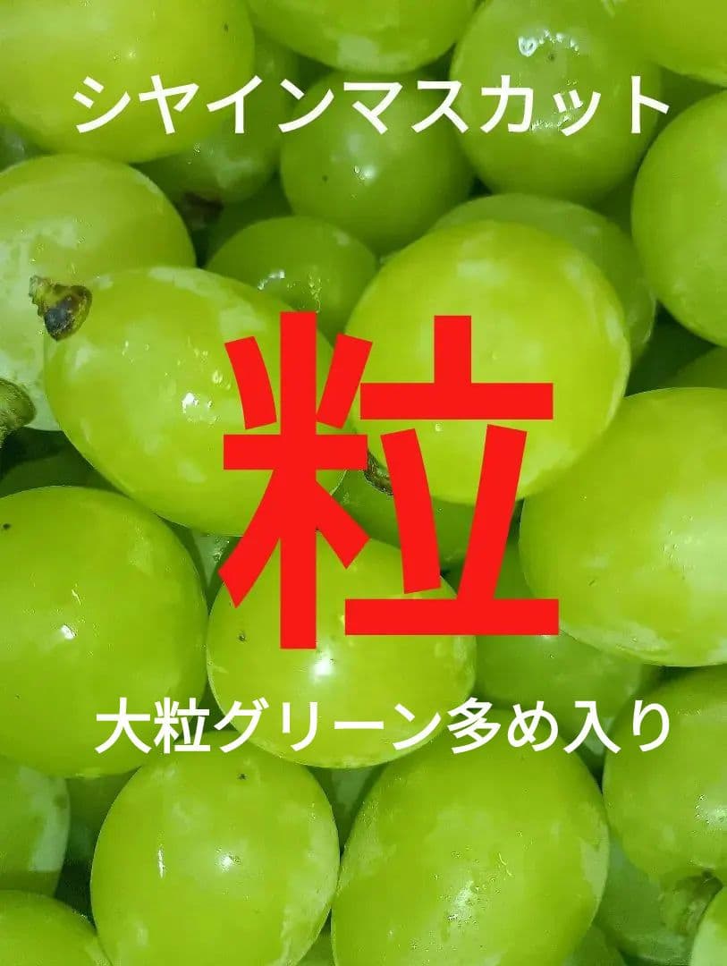 シャインマスカット大粒グリーン多め入り5キロ粒パック入りになります。