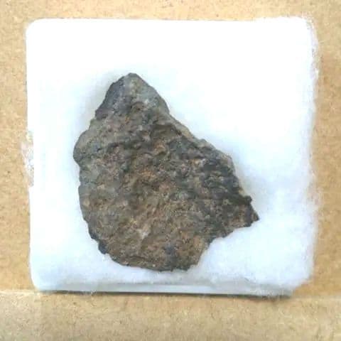 ✨希少！ アエンデ隕石　標本