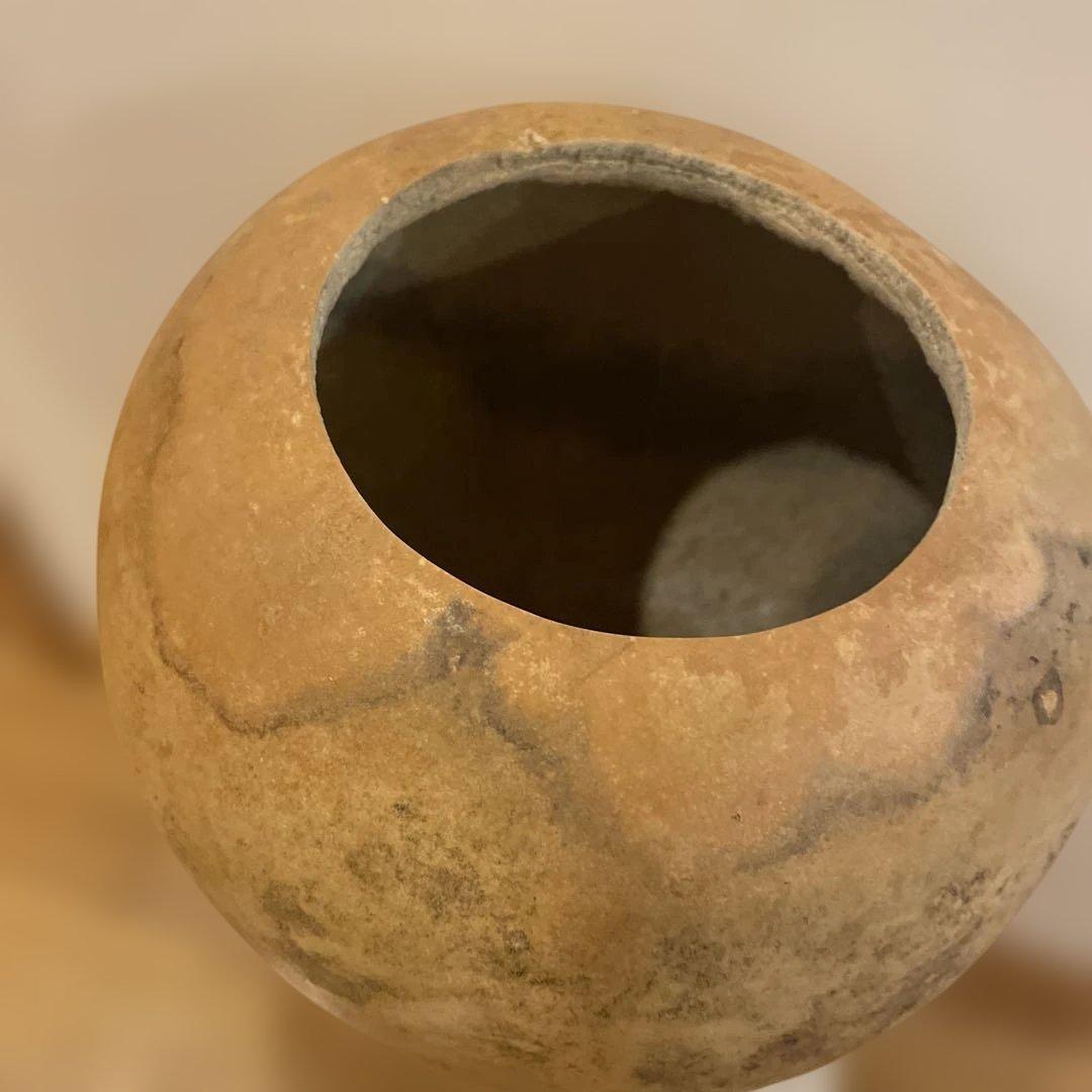 艶なし　イプヘケ　パレ