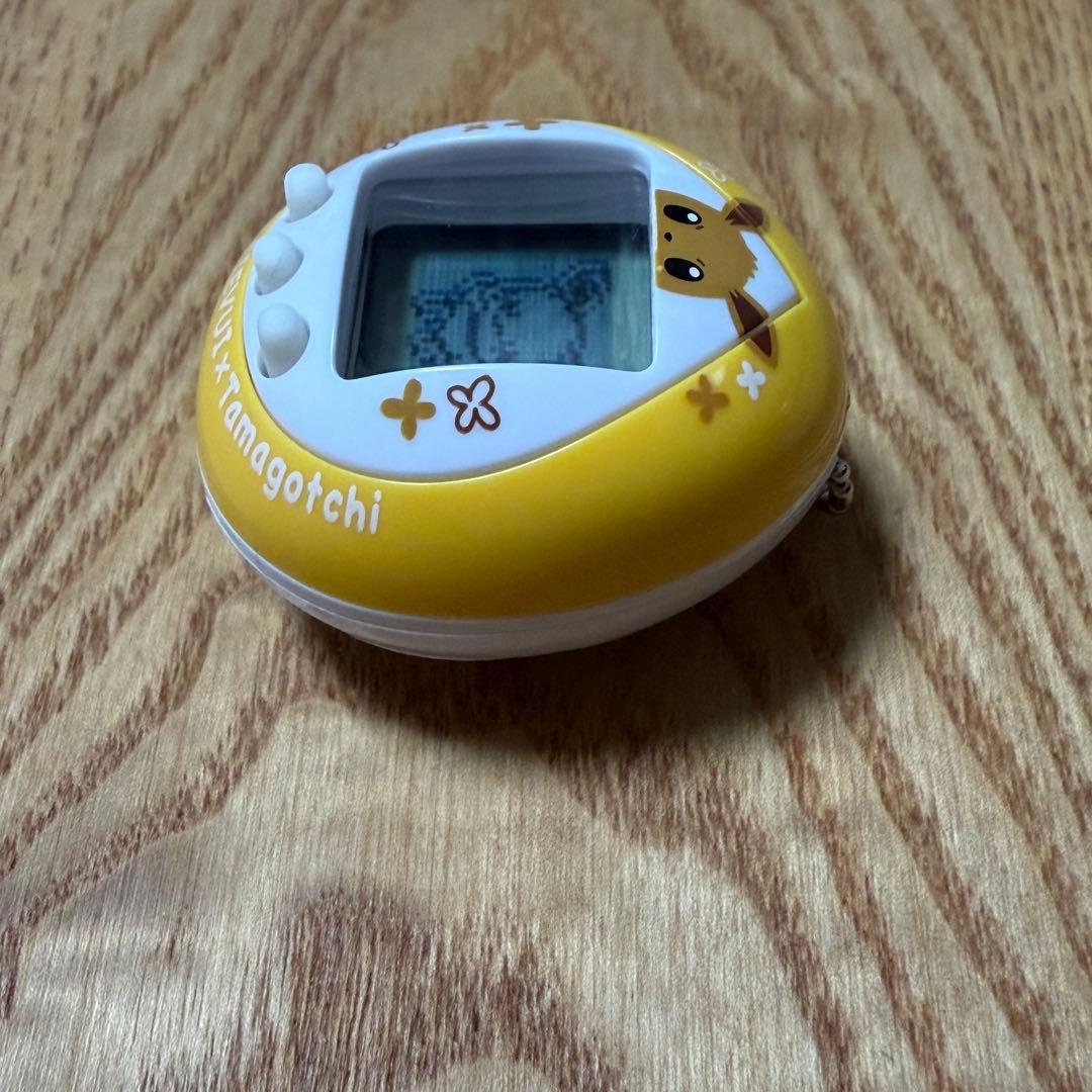 たまごっち　イーブイ　だいすきイーブイver.