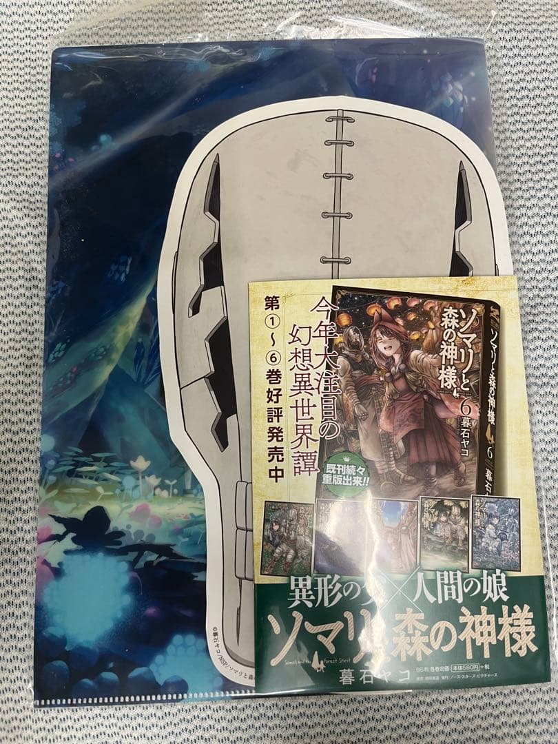 期間限定大幅値下げ！　ソマリと森の神様　キャンバスアート　サイン入り おまけ付き