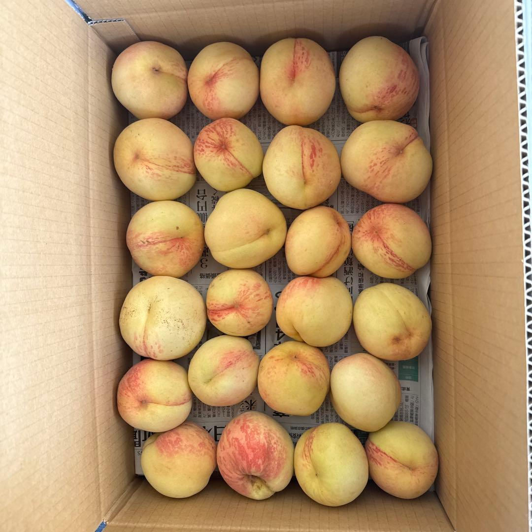 加工用　ほとんど小さい桃