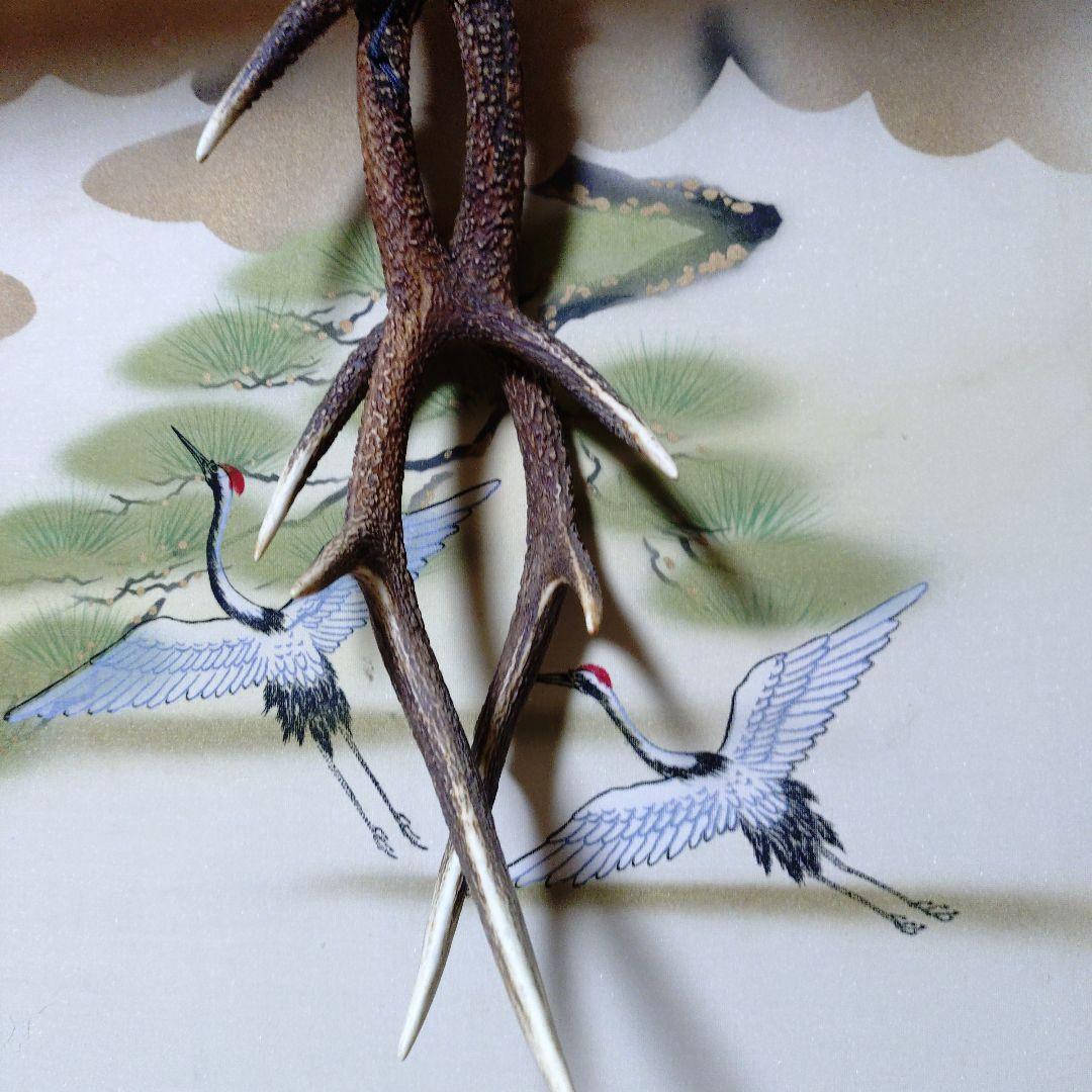 自然な形状の角 約50㌢cm