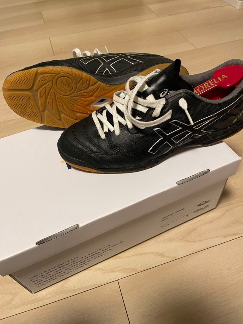 アシックスデスタッキK FF